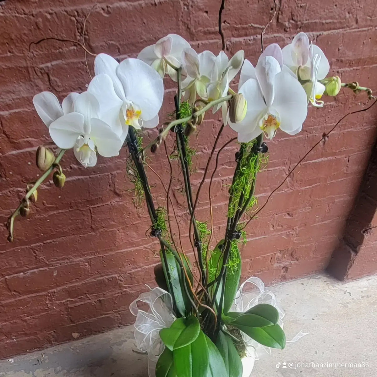 4 Stem Ceramic